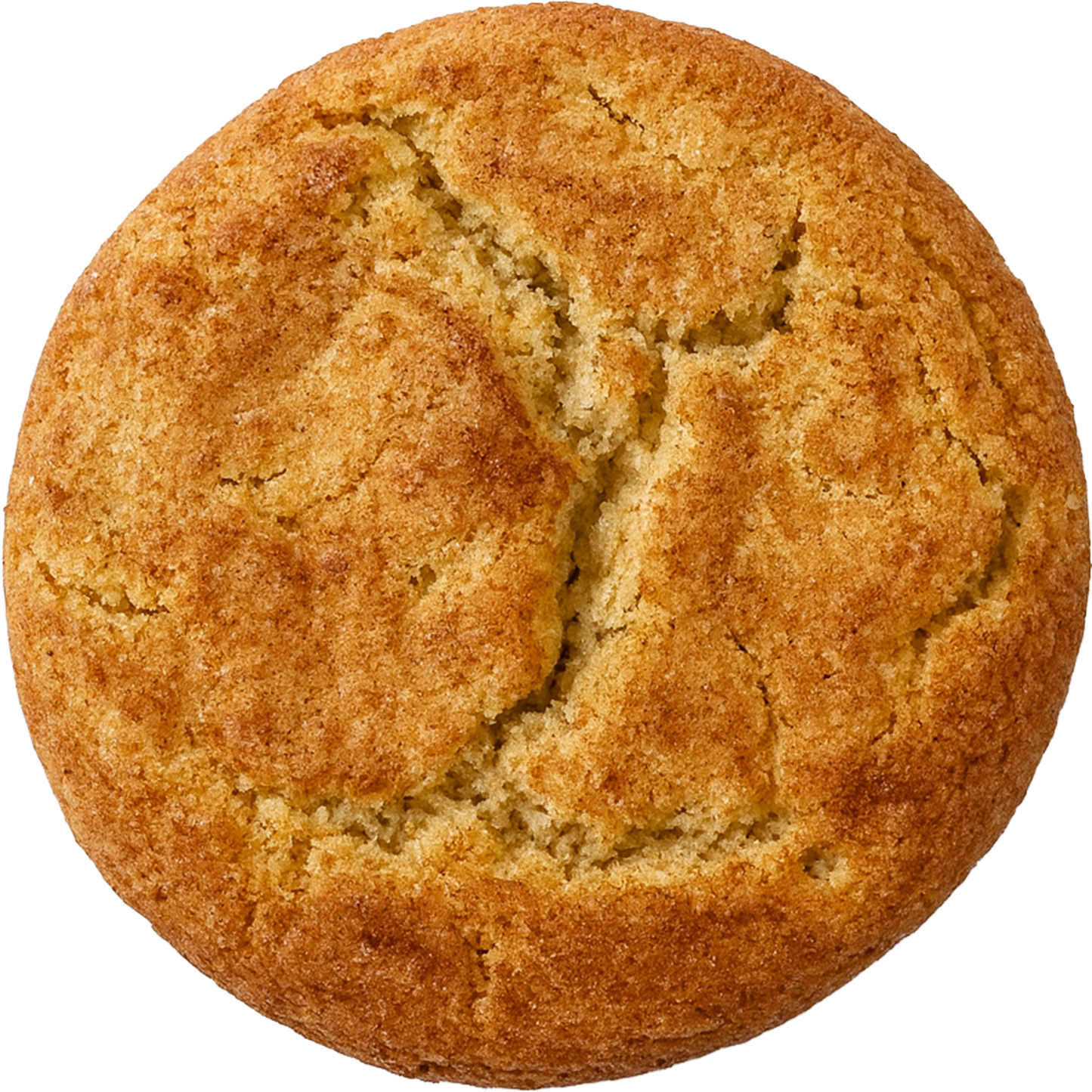 Magic Carpet (Snickerdoodle)