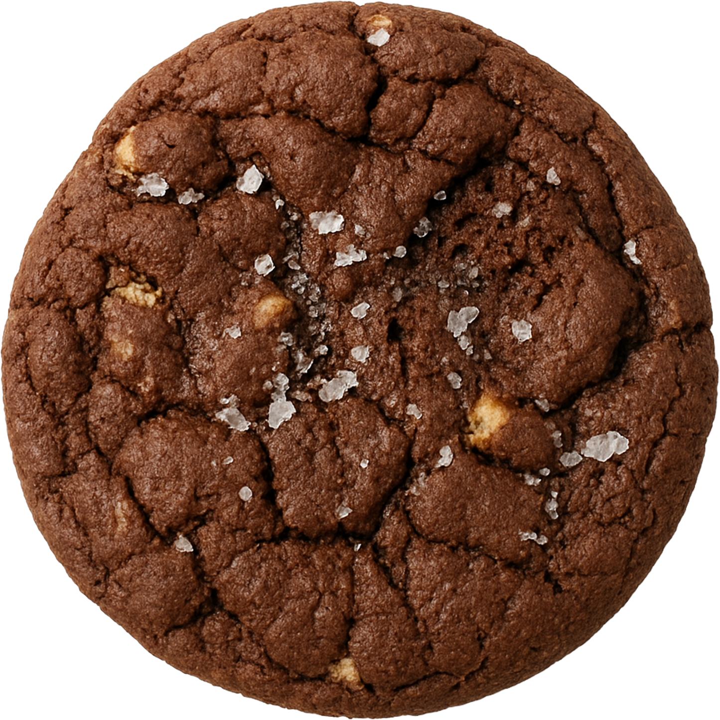 Mint Condition (Peppermint Chocolate Chip)