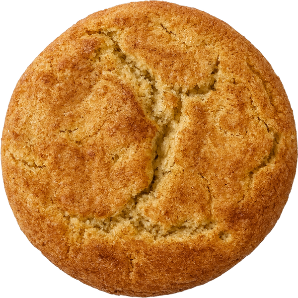 Magic Carpet (Snickerdoodle)